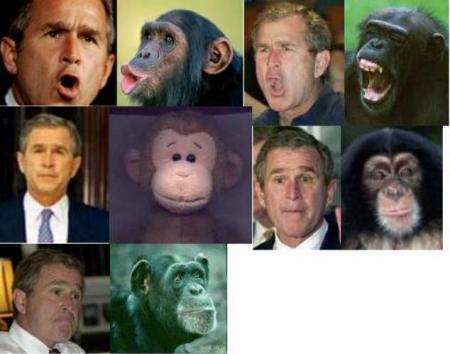 bush tes oreilles lol