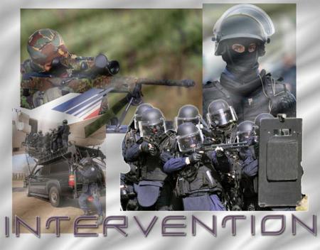 vive le gign
