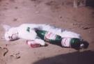 pub contre le tabac et lalcool