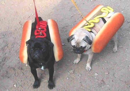 ki ve un hot dog