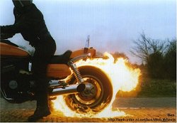 il doit avoir chaud au fesse non
