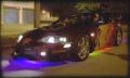 vive les neons la classe